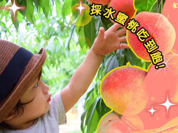 日本東北溫泉.採果樂五日