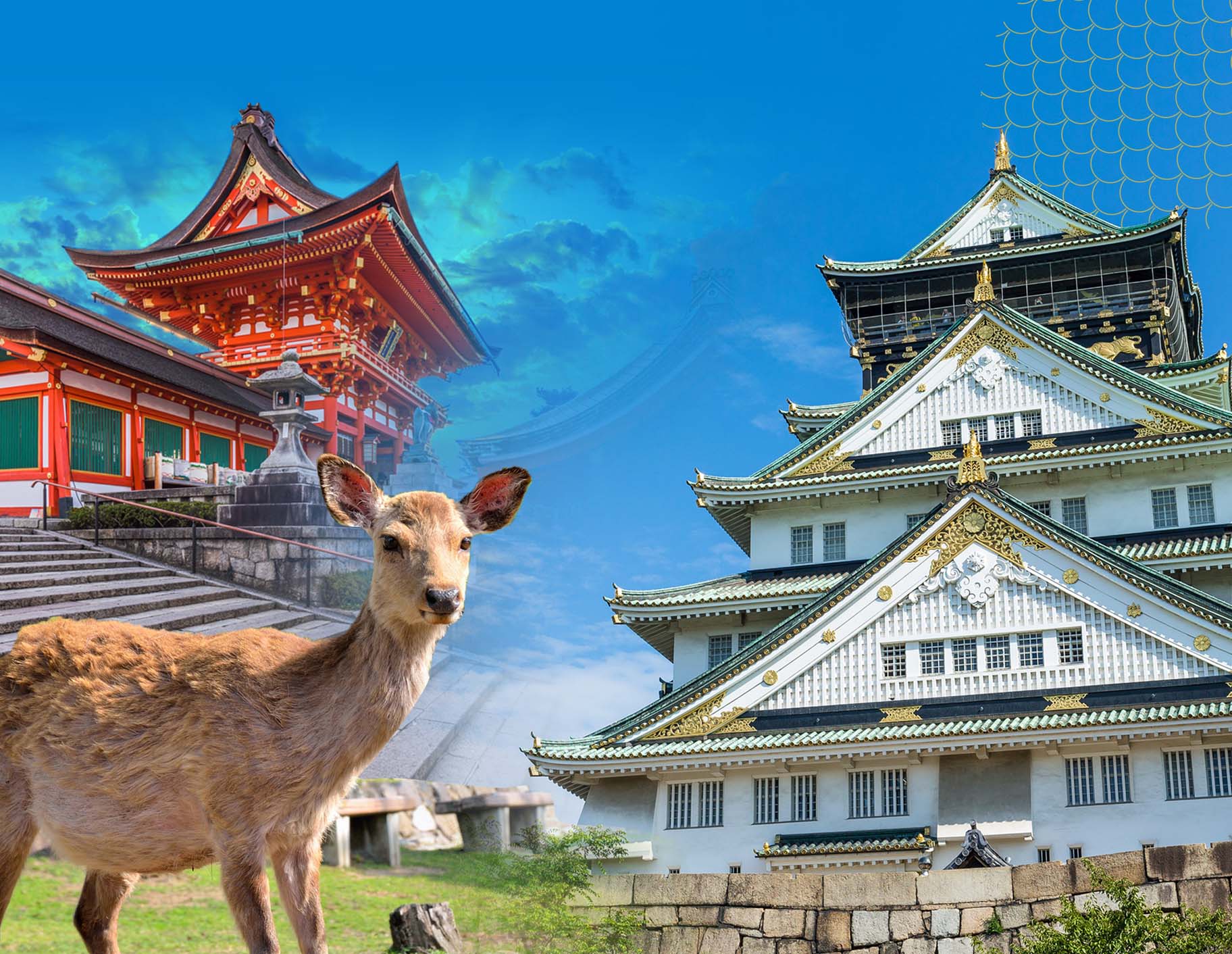 日本~京都.大阪.神戶 5日|伊根舟屋、奈良公園、伏見稻荷神社、天橋立、大阪城