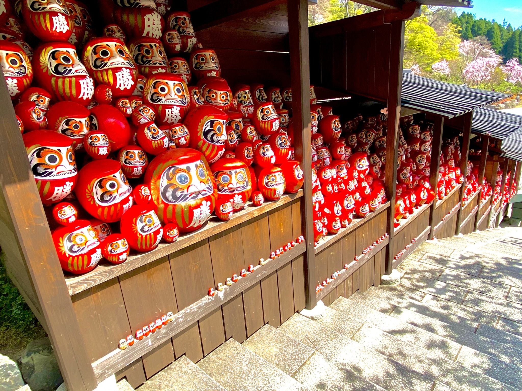 日本~神戶高爾夫球敘五日(兩場球)